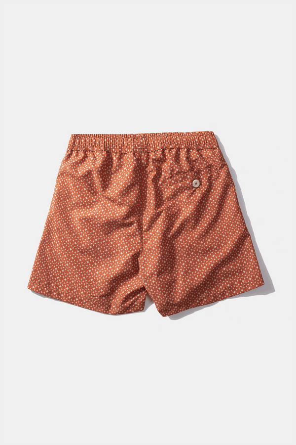 SOCIAL CLASSIC PLAIN ORANGE